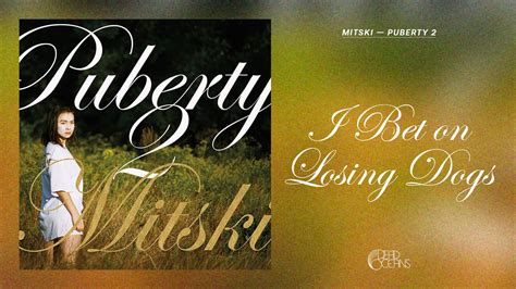 what does the song i bet on losing dogs mean|I Bet On Losing Dogs by Mitski .